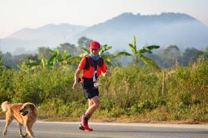 BIB: 
                            <button type="button" onclick="openModal(6833266)" class="btn btn-primary btn-sm float-right btn-popup" data-toggle="modal" data-target=".modal-high-quality">
                        <i class="fas fa-shopping-cart"></i> Add to Cart
                    </button>
                                            <button type="button" onclick="isThisMe(6833266, true)" class="btn btn-success btn-sm float-right btn-popup btn-isme hidden" data-toggle="tooltip" data-placement="bottom" title="นี่คือรูปของคุณใช่ไหม คลิกที่นี่เพื่อเอาเข้าอัลบั้ม">
                        <i class="fas fa-plus"></i> Add to album
                    </button>
                    <button type="button" onclick="isThisMe(6833266, false)" class="btn btn-warning btn-sm float-right btn-popup btn-isnotme hidden">
                        <i class="fas fa-ban"></i> Remove from album
                    </button>